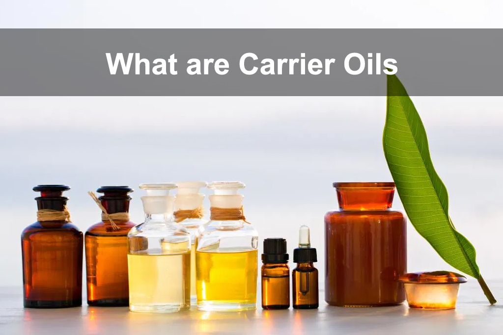 what-are-carrier-oils